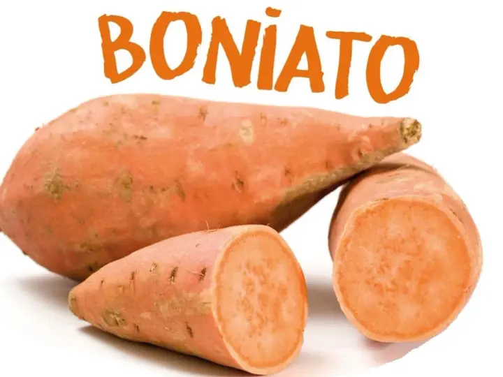 Boniato, un alimento saludable que los perros pueden comer.