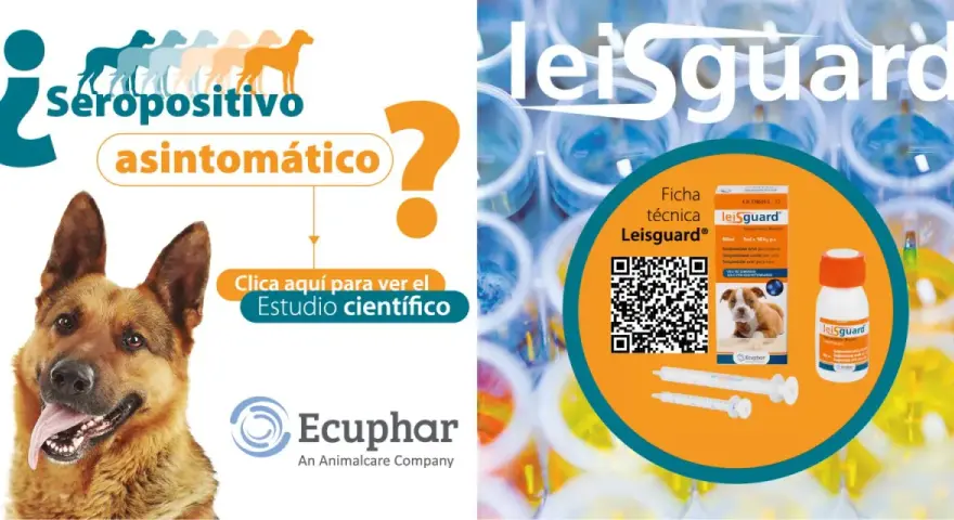 Perro seropositivo asintomático. Información sobre el leishmaniasis tratamiento perros y el producto Leisguard.