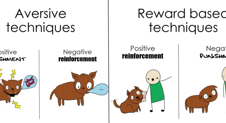Ilustración compara técnicas aversivas (castigo positivo, refuerzo negativo) con técnicas basadas en recompensa (refuerzo positivo, castigo negativo).