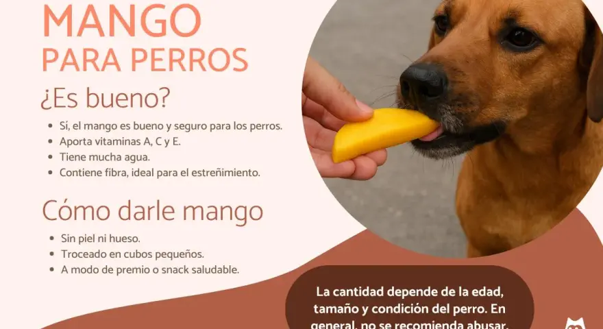 Un perro disfruta de un trozo de mango, demostrando que los perros pueden comer mango como un snack saludable y nutritivo.
