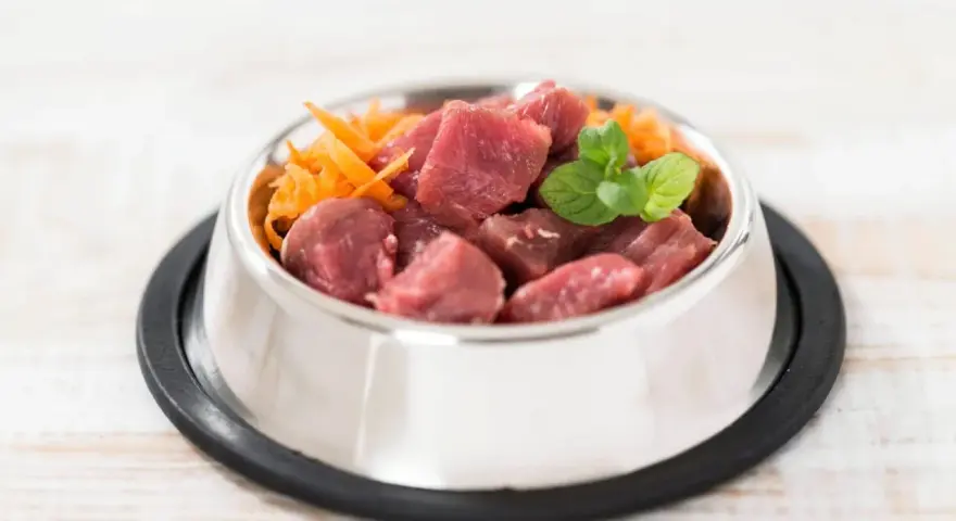 Un cuenco de metal lleno de trozos de carne cruda y zanahoria rallada, perfecto para una dieta BARF perros casera.