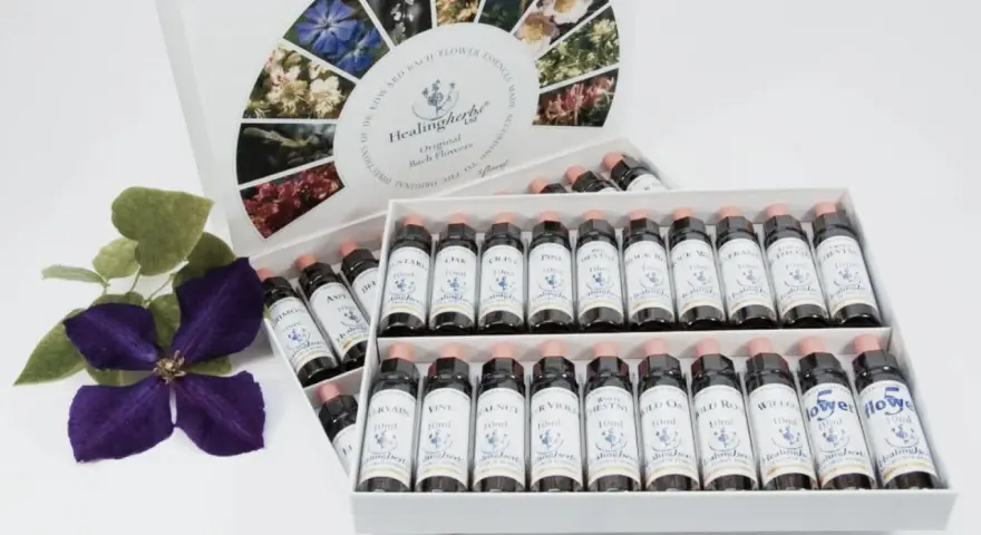 Caja de flores de Bach para perros con varias botellas de esencias florales y una flor morada.