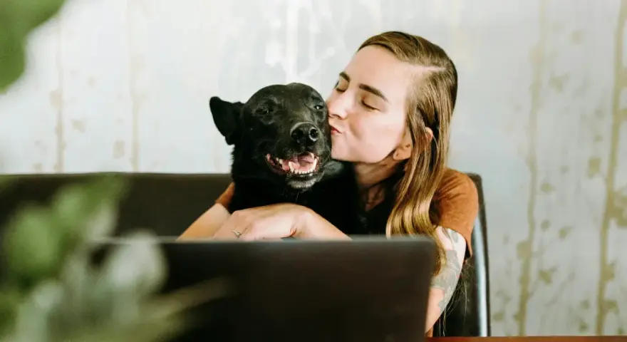 Mujer besa a su perro velcro, un labrador negro, mientras trabaja en su portátil.