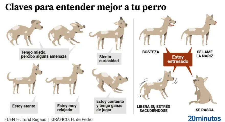 Ilustración muestra el **comportamiento canino** con diferentes posturas y expresiones, indicando estados como miedo, curiosidad, relajación, estrés y ganas de jugar.