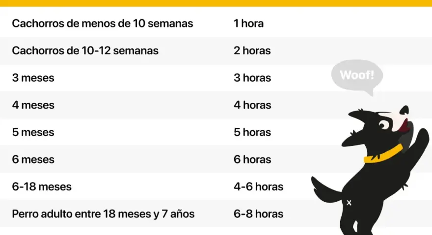 Tabla con edades de perros y tiempo recomendado para dejarlos solos. Guía para como acostumbrar a un perro a quedarse solo.