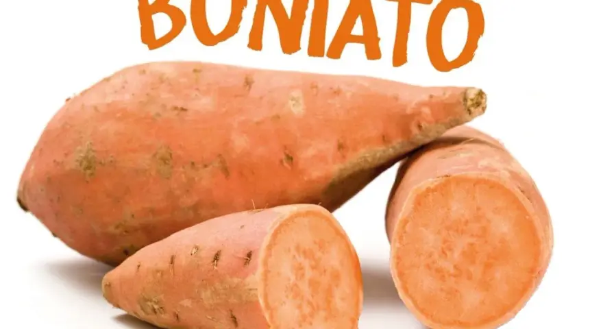 Boniato, un alimento saludable que los perros pueden comer.