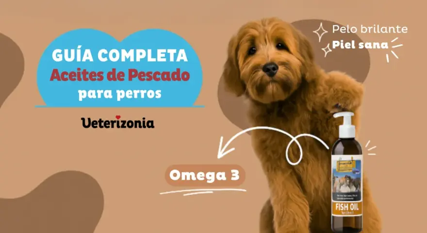 Guía completa de aceite de pescado para perros. Promueve pelo brillante y piel sana con Omega 3.