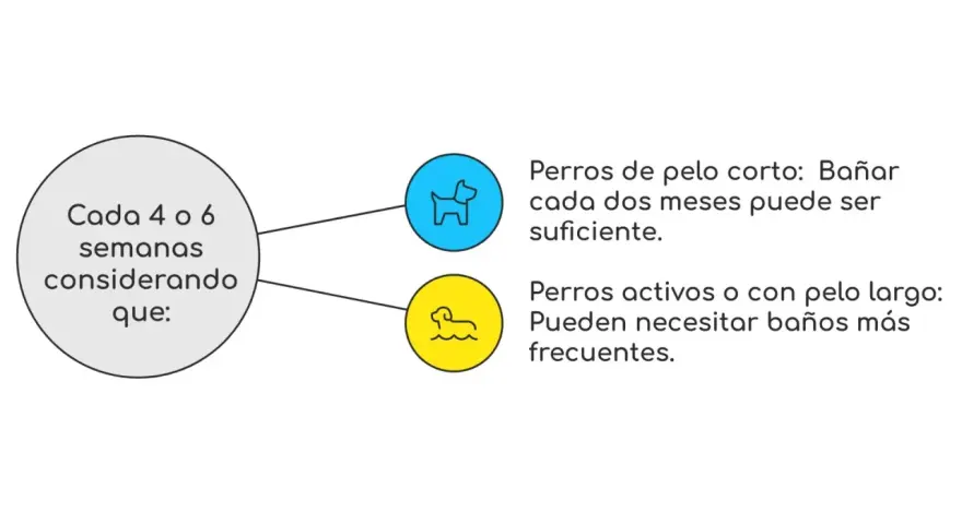 Guía sobre cada cuanto se lava un perro: pelo corto cada dos meses, pelo largo o activos, más seguido.