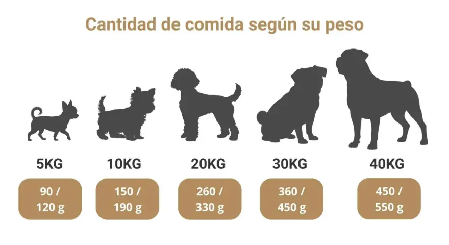 Siluetas de perros de distintos tamaños, de 5 a 40 kg, con la cantidad de alimento recomendada para la dieta ideal de los cachorros.