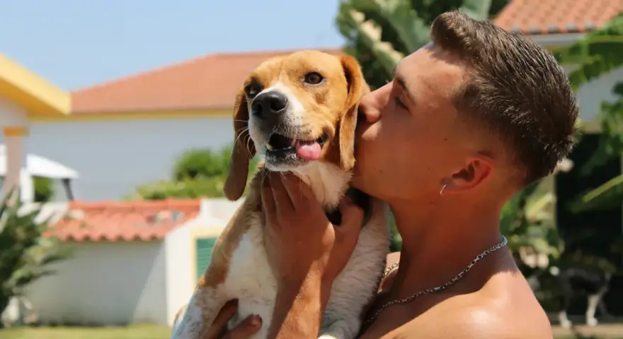 Un joven da un tierno beso a su perro beagle. ¡A los perros les gustan los besos!