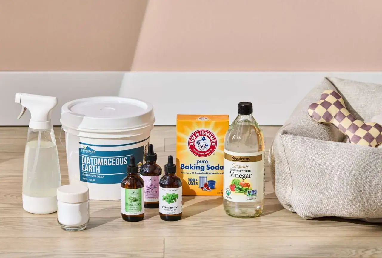 Ingredientes para remedios caseros para pulgas en perros: tierra de diatomeas, bicarbonato, vinagre, aceites esenciales y spray.