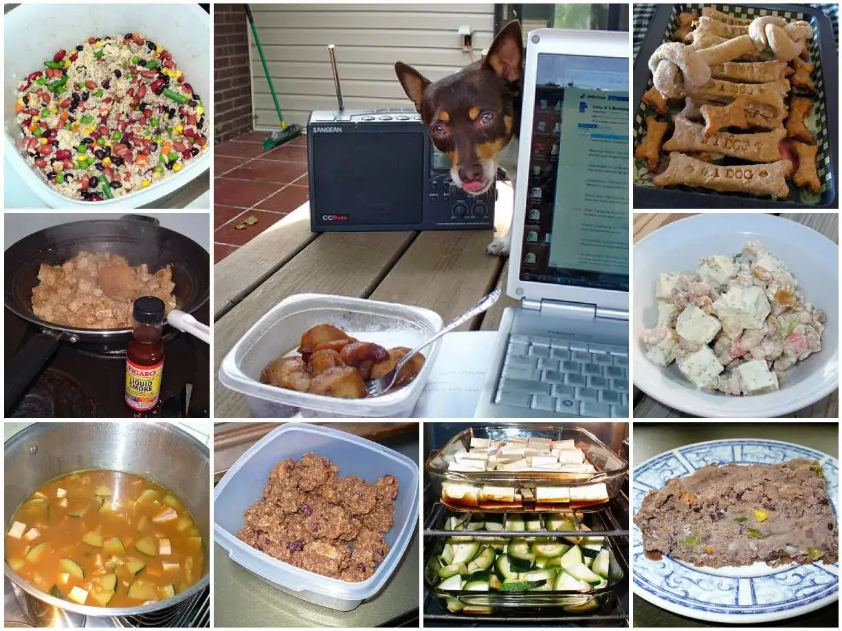 Variedad de comida casera para chihuahua: galletas, guiso, ensalada, y m&aacute;s. &iexcl;Un fest&iacute;n para tu peludo!