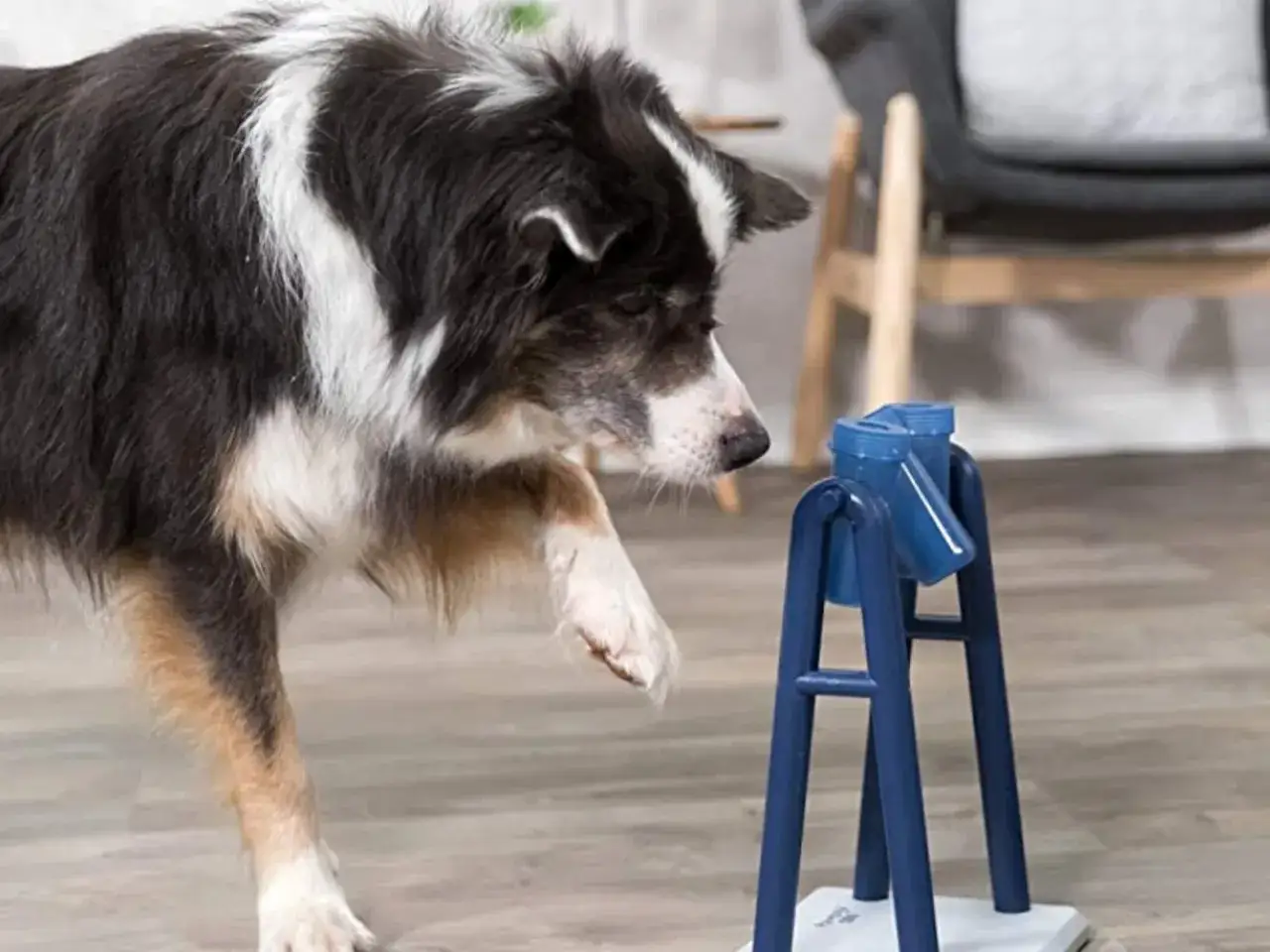 Perro de raza mixta interactuando con un dispensador de premios azul, parte de los juegos para perros.