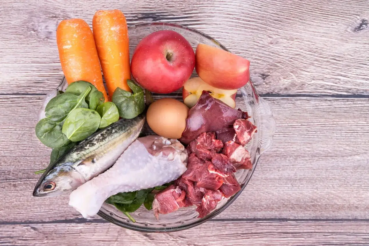 Ingredientes frescos para recetas de comida casera para perros: zanahorias, manzana, espinacas, pescado, pollo, carne de res y huevo.