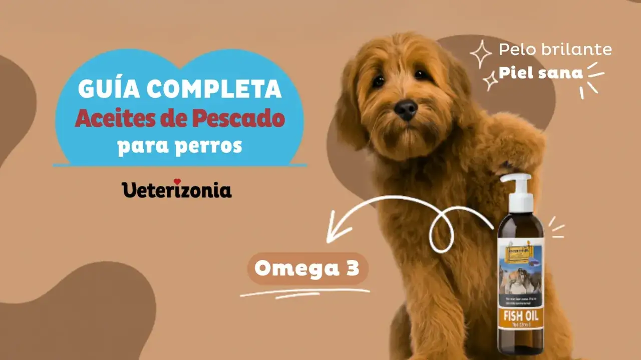 Gu&iacute;a completa de aceite de pescado para perros. Promueve pelo brillante y piel sana con Omega 3.
