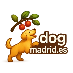 dogmadrid.es