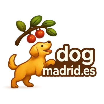 Logo dogmadrid.es
