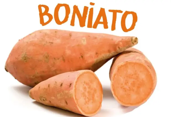 Boniato, un alimento saludable que los perros pueden comer.